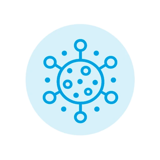 ICONOS 2 1